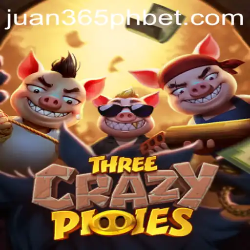 Experience the Thrill of 'ThreeCrazyPiggies': A Dynamic Adventure